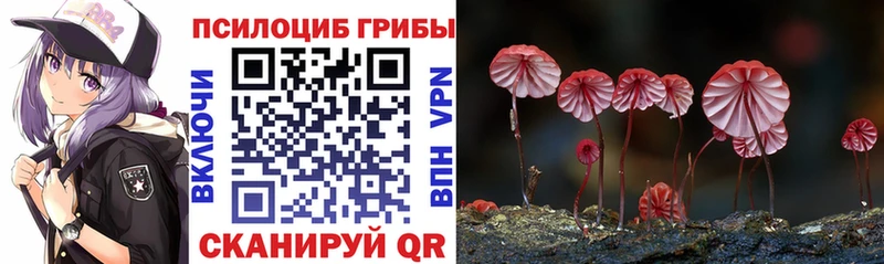 Галлюциногенные грибы ЛСД  Гусев 