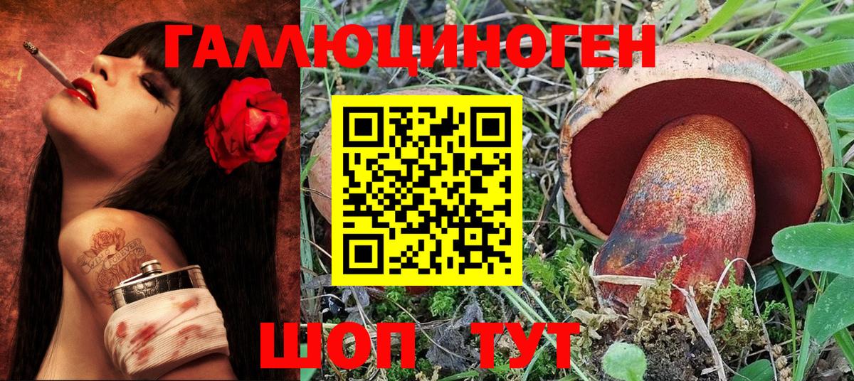 Гусев  Галлюциногенные грибы Magic Shrooms  Вход с VPN  Галлюциногенные грибы MAGIC MUSHROOMS 