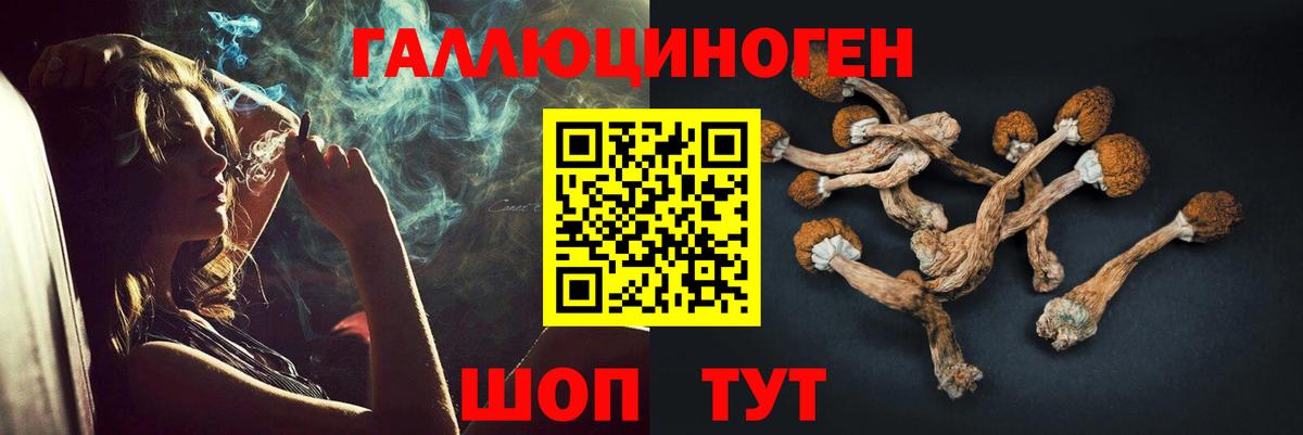 Галлюциногенные грибы мицелий Гусев